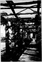 An illustration from The Architect (1905)