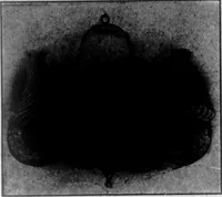 An illustration from The Architect (1905)