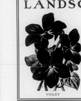 An illustration from The Architect (1905)