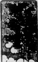 An illustration from The Architect (1905)