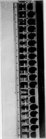 An illustration from The Architect (1905)