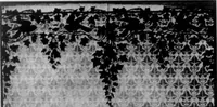An illustration from The Architect (1905)