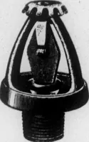 An illustration from The Architect (1905)