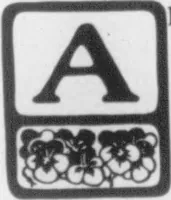 An illustration from The Architect (1905)