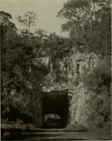 An illustration from Architect and engineer (1905)