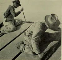 An illustration from Architect and engineer (1905)
