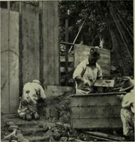 An illustration from Architect and engineer (1905)