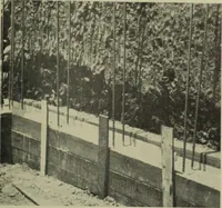 An illustration from Architect and engineer (1905)