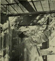 An illustration from Architect and engineer (1905)