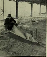An illustration from Architect and engineer (1905)