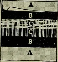 An illustration from Architect and engineer (1905)