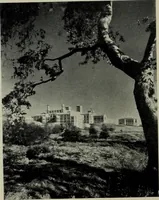 An illustration from Architect and engineer (1905)