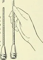An illustration from Architect and engineer (1905)