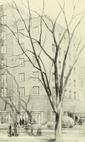 An illustration from Architect and engineer (1905)