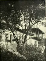 An illustration from Architect and engineer (1905)