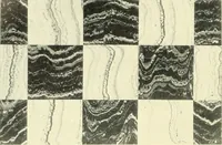 An illustration from Architect and engineer (1905)