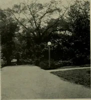 An illustration from Architect and engineer (1905)