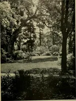 An illustration from Architect and engineer (1905)
