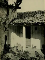 An illustration from Architect and engineer (1905)