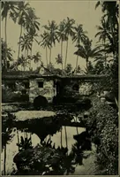 Picture 271 of 289 from Architect and engineer (1905), leaf 469