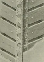 An illustration from The Architect & engineer of California and the Pacific Coast (1905)