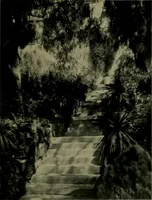 An illustration from Architect and engineer (1905)