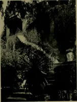 An illustration from Architect and engineer (1905)