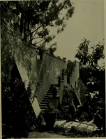An illustration from Architect and engineer (1905)