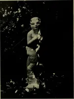 Picture 221 of 279 from Architect and engineer (1905), leaf 377