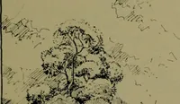 An illustration from Architect and engineer (1905)
