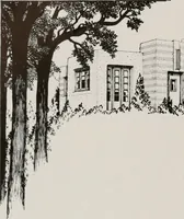 An illustration from Architect and engineer (1905)