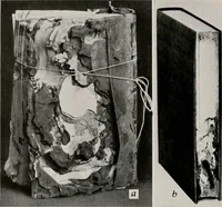 An illustration from Architect and engineer (1905)