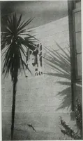 Picture 148 of 261 from Architect and engineer (1905), leaf 233
