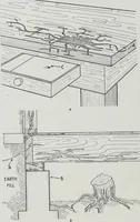Picture 24 of 261 from Architect and engineer (1905), leaf 37