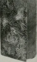 Picture 249 of 261 from Architect and engineer (1905), leaf 410