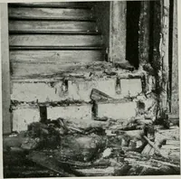 An illustration from Architect and engineer (1905)
