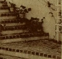 An illustration from Architect and engineer (1905)