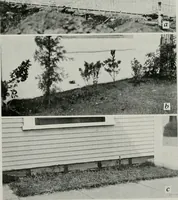 Picture 200 of 256 from Architect and engineer (1905), leaf 348