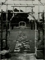 An illustration from Architect and engineer (1905)