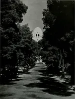 Picture 302 of 322 from Architect and engineer (1905), leaf 408