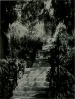 An illustration from Architect and engineer (1905)