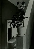 Picture 26 of 264 from Architect and engineer (1905), leaf 29