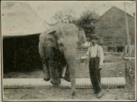 Picture 115 of 416 from The Architect & engineer of California and the Pacific Coast (1905), leaf 144