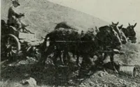 Picture 253 of 416 from The Architect & engineer of California and the Pacific Coast (1905), leaf 318