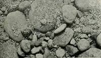 Picture 384 of 416 from The Architect & engineer of California and the Pacific Coast (1905), leaf 498