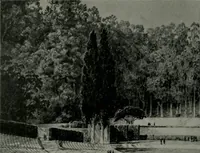 An illustration from Architect and engineer (1905)