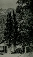 An illustration from Architect and engineer (1905)