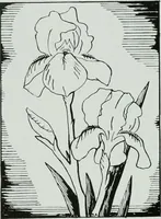 An illustration from Architect and engineer (1905)