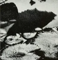 Picture 361 of 434 from Architect and engineer (1905), leaf 402