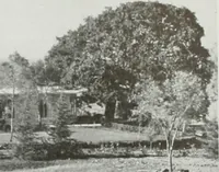 An illustration from Architect and engineer (1905)